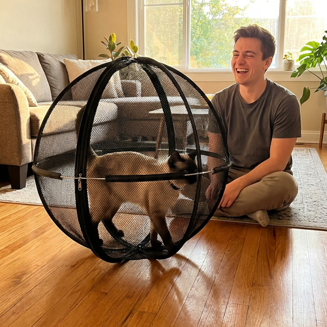 Purroam Pop-Up Cat Sphere