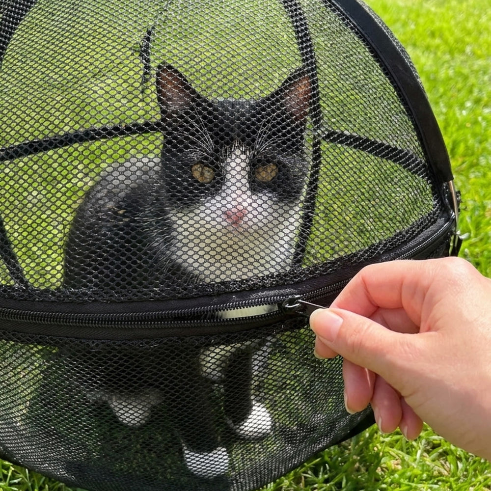 Quality time together